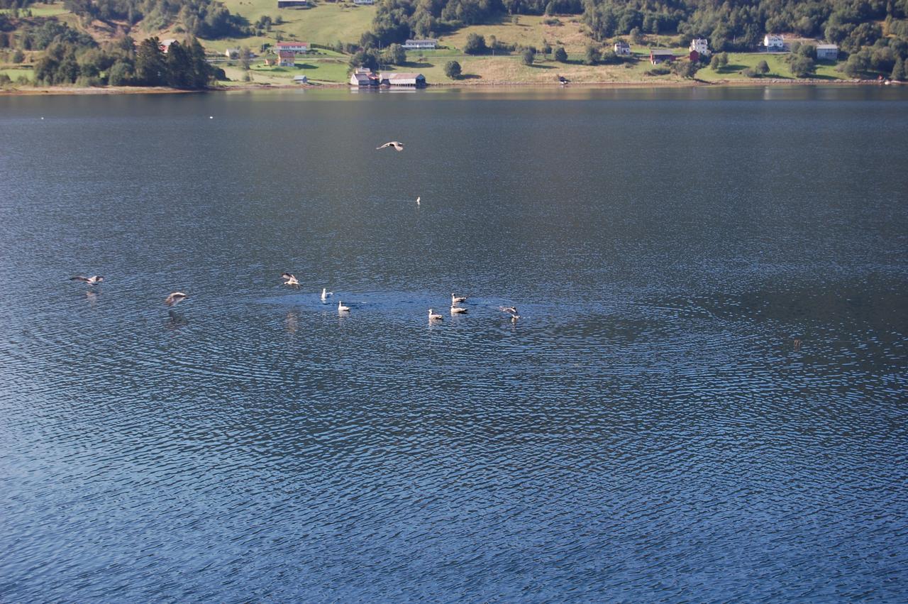 Fagervik Camping Tresfjord Dış mekan fotoğraf